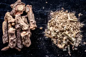 Sarsaparilla Root