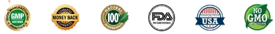 Feilaira Cerificate
